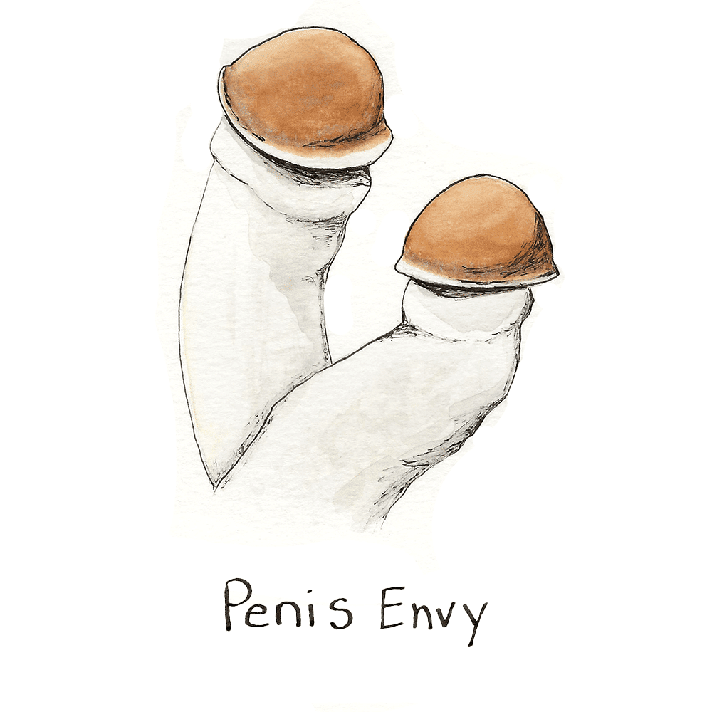 Penis Envy Mushroom