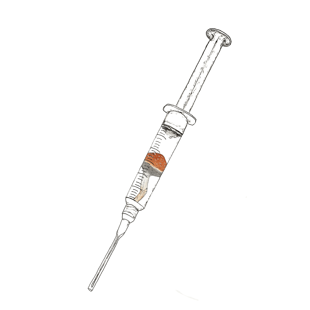 Watercolor depiction of Golden Teacher mushroom spores in syringes.