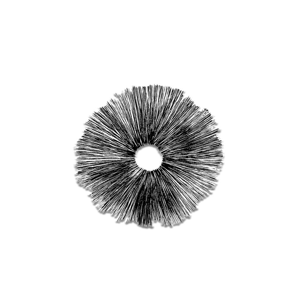 Sketch of a spore print