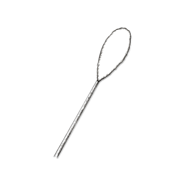 Sketch of a cotton swab