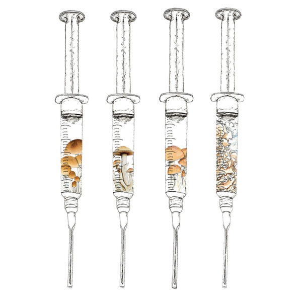 Watercolor depiction of four mushroom syringes