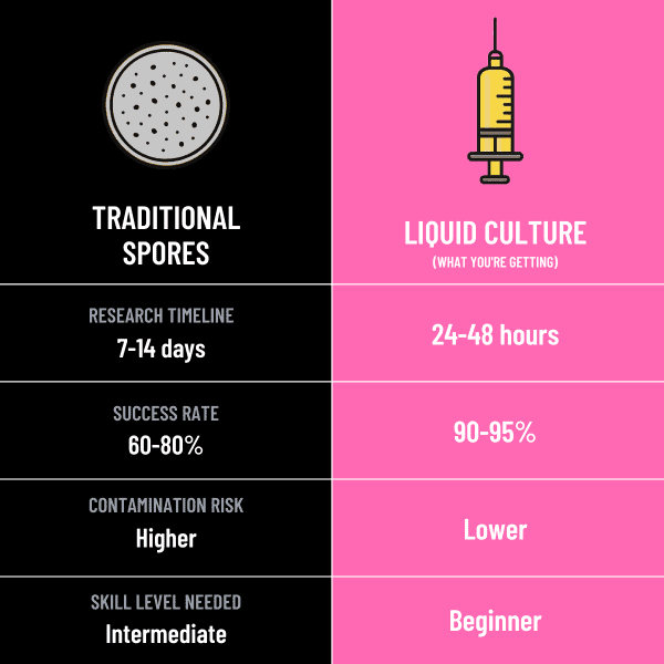 Spores vs liquid culture infographic