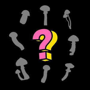 Mystery Mushroom Spore Syringe