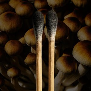 A depiction of a Trinity mushroom spores on a swab
