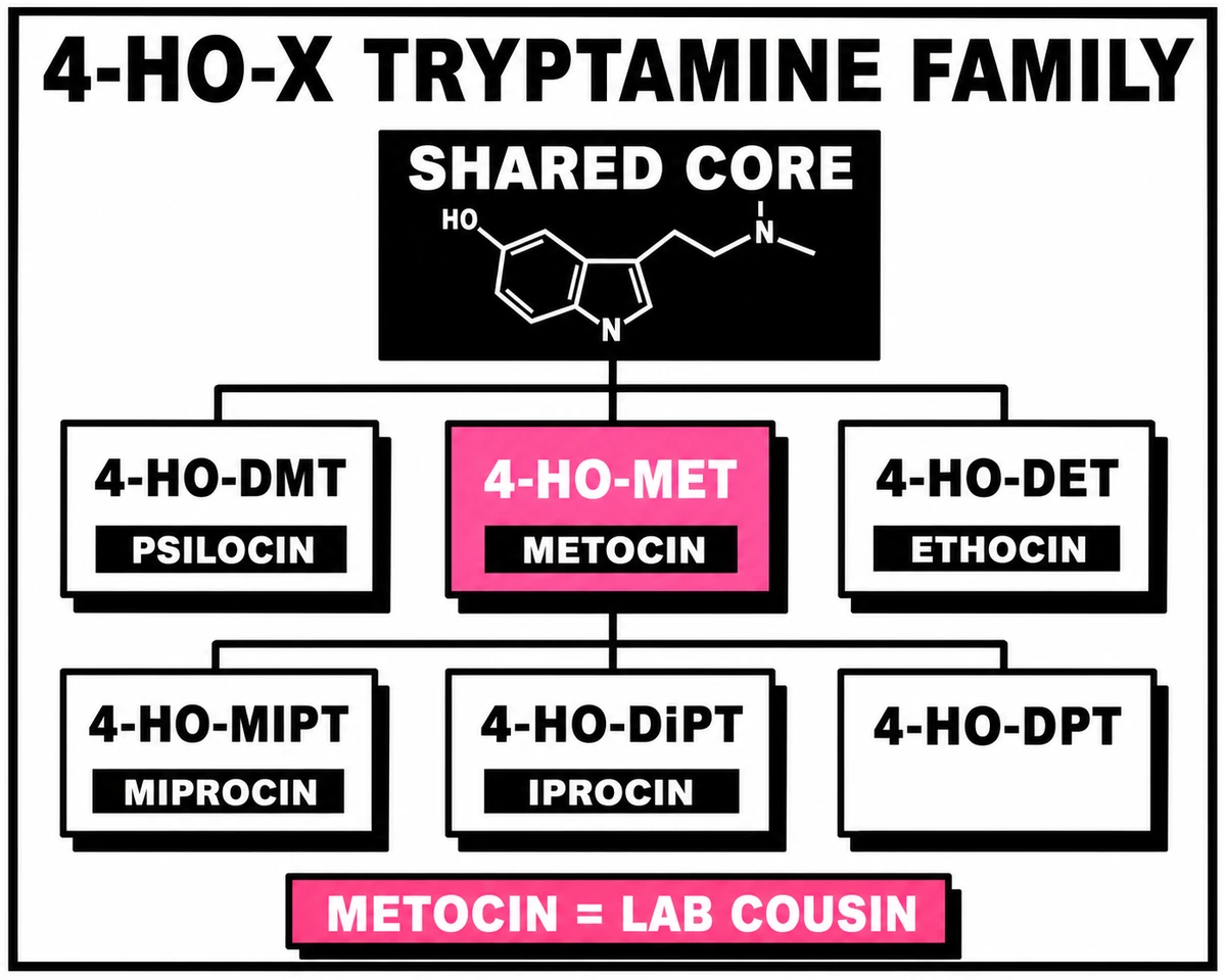 Visual tree showing the 4-hydroxytryptamine family of compounds including psilocin, metocin, ethocin, miprocin, iprocin, and 4-HO-DPT.